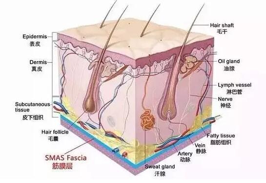 超声时光系统